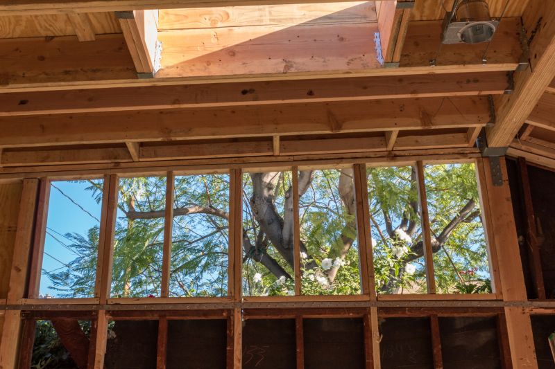 Basement Wall Framing in Wilmington, NC